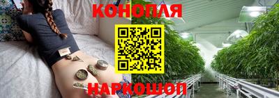 индика Ирбит