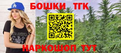 индика Ирбит