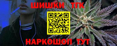 индика Ирбит