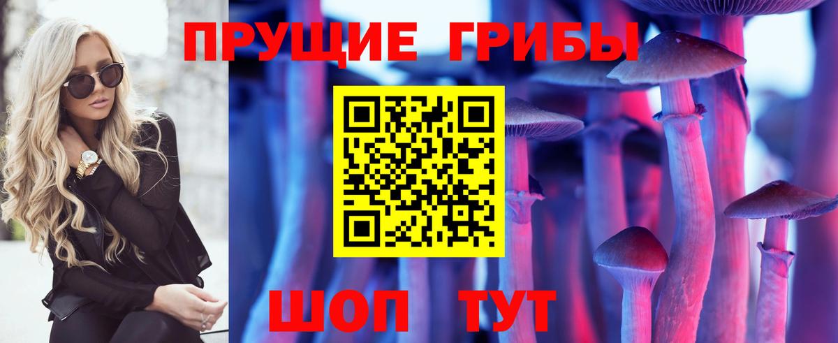 Псилоцибиновые грибы Psilocybe Лянтор